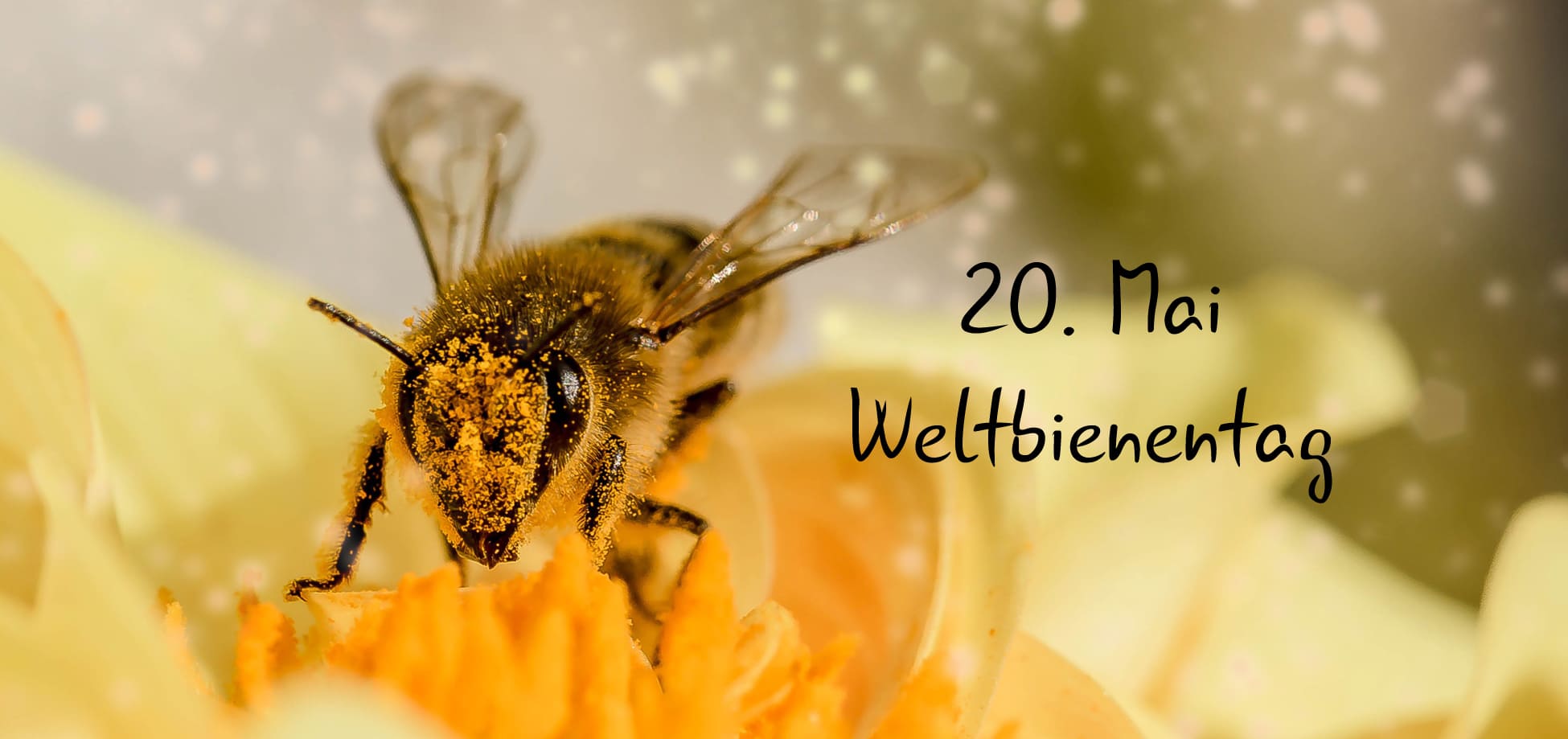 Tag des offenen Bienenstocks